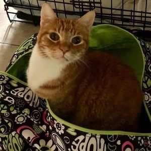 Meet your Posher, Kari